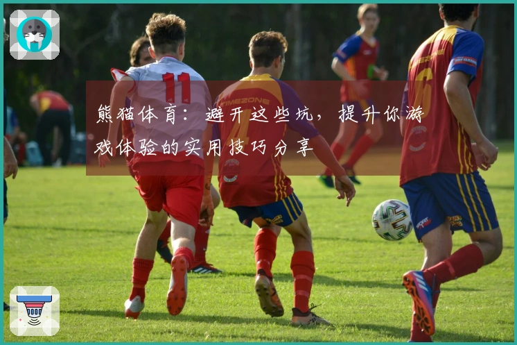 熊猫体育：避开这些坑，提升你游戏体验的实用技巧分享