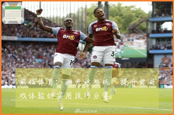 熊猫体育：避开这些坑，提升你游戏体验的实用技巧分享