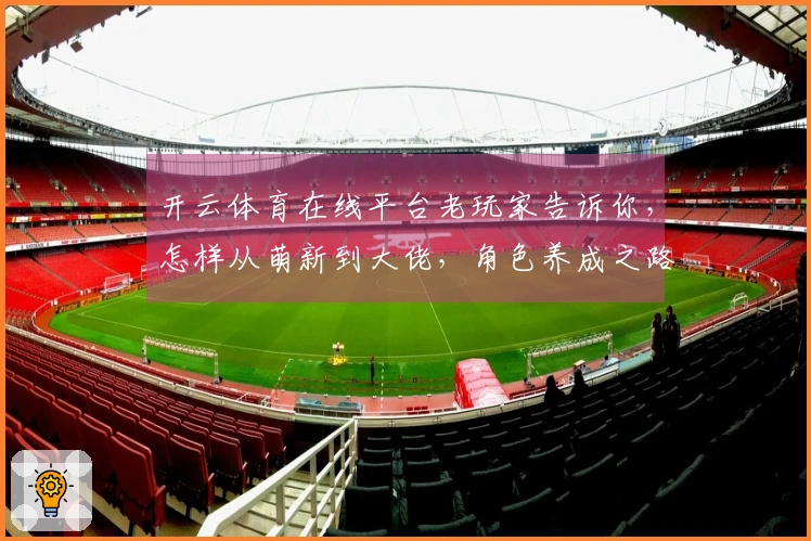 开云体育在线平台老玩家告诉你，怎样从萌新到大佬，角色养成之路少走弯路