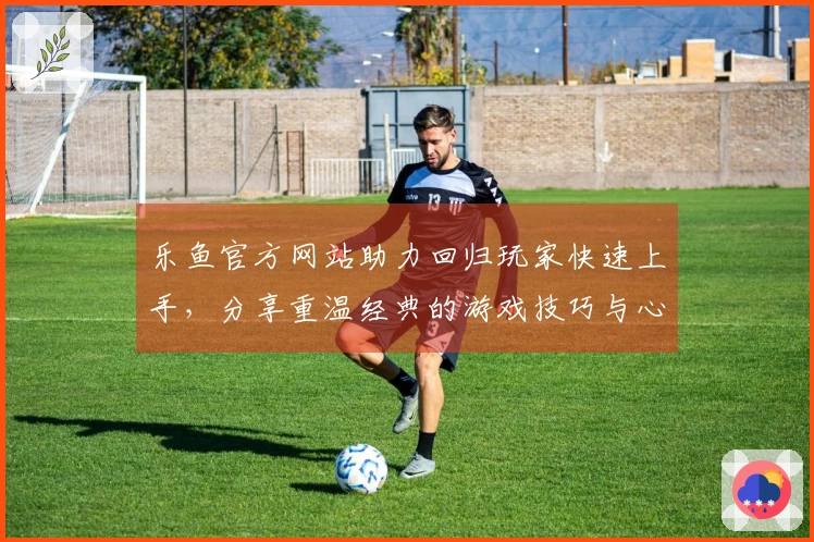 乐鱼官方网站助力回归玩家快速上手，分享重温经典的游戏技巧与心得