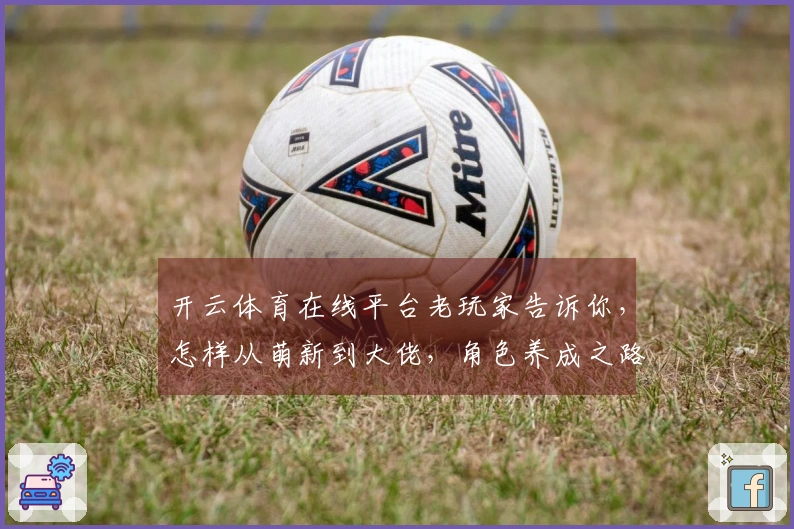 开云体育在线平台老玩家告诉你，怎样从萌新到大佬，角色养成之路少走弯路